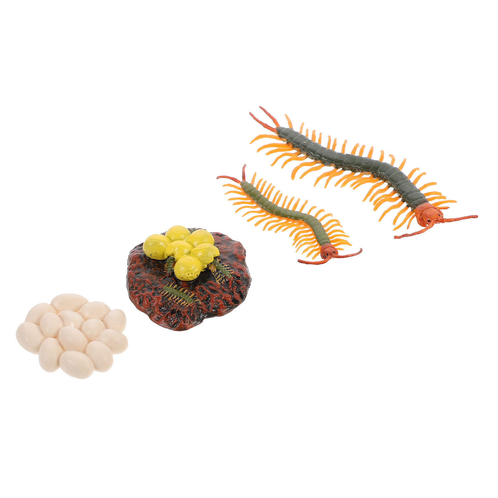 1Set Centipede Life Cycle Figu - огляд і ціна Kids Education Tools